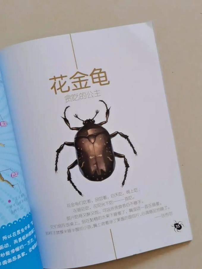 长江出版社少儿读物