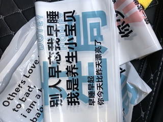 颜值很高的一次性收纳车载垃圾袋