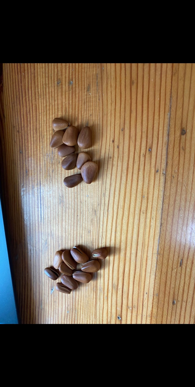 新农哥坚果炒货
