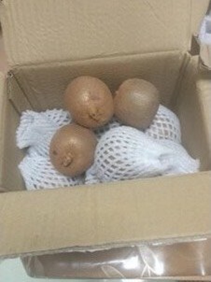 京觅奇异果/猕猴桃