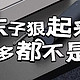 东子狠起来拼多多不都打不过，这款电动螺丝刀我在京东必入了