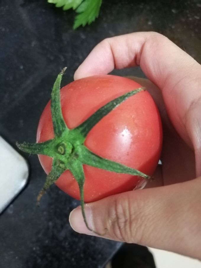 静益乐源蔬菜