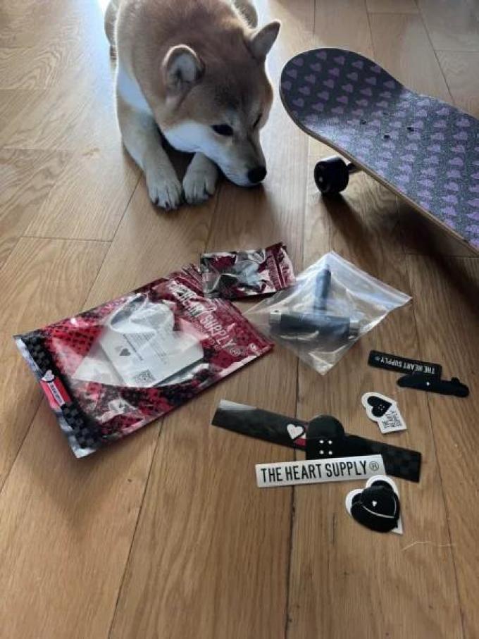 滑板运动