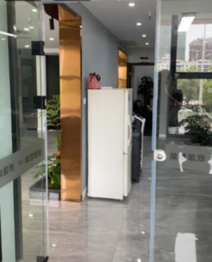 登比墙贴/装饰贴