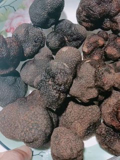 有谁认识的吗？好吃哟！