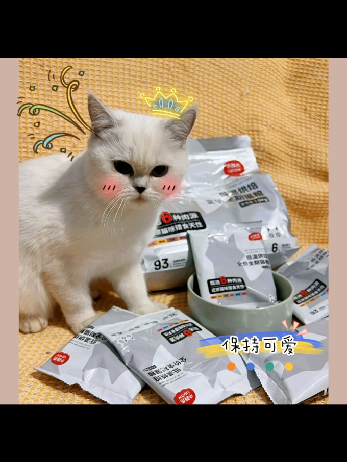 小胖爪猫咪干粮