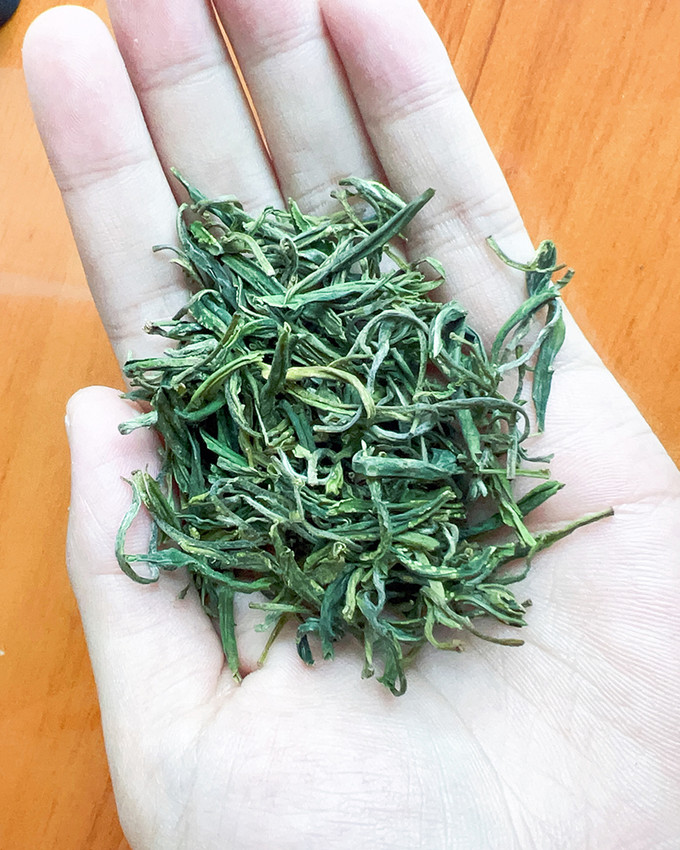 绿满堂绿茶