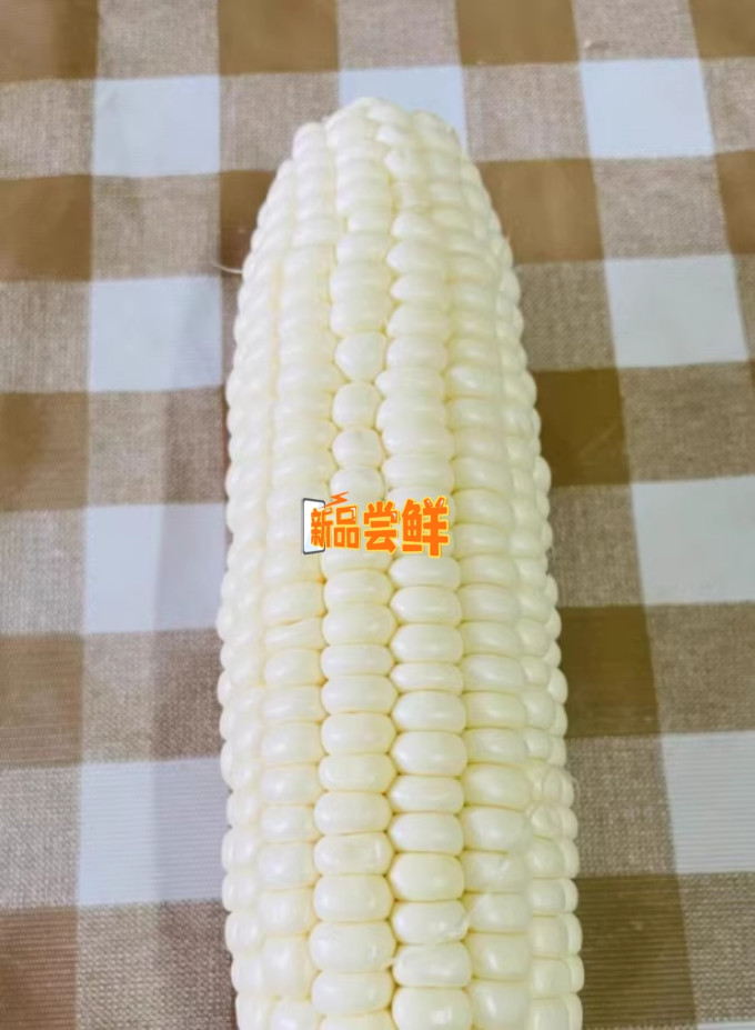 红美人蔬菜