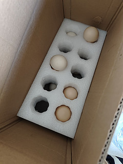 天猫超市鲜鸡蛋