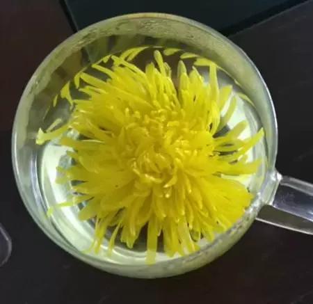 这天气喝点菊花还是非常好的！汤水清澈非常