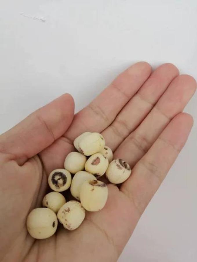 九鲤湖谷物/杂粮/粥米