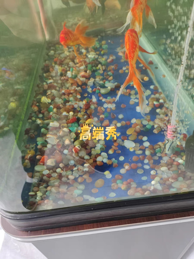 水族用品