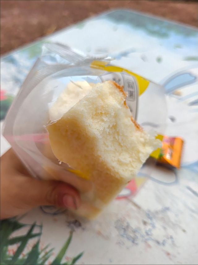 椰蓉芝士蛋糕
