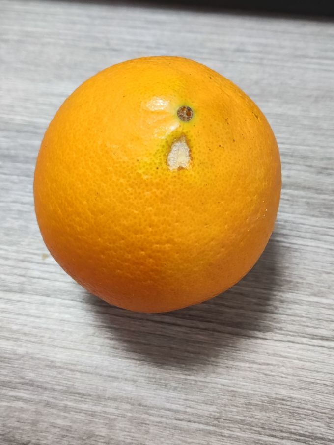 橙之味新鲜水果