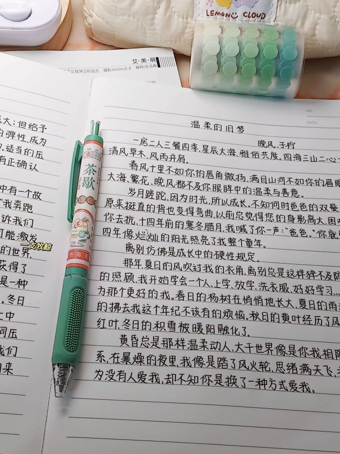 晨光中性笔