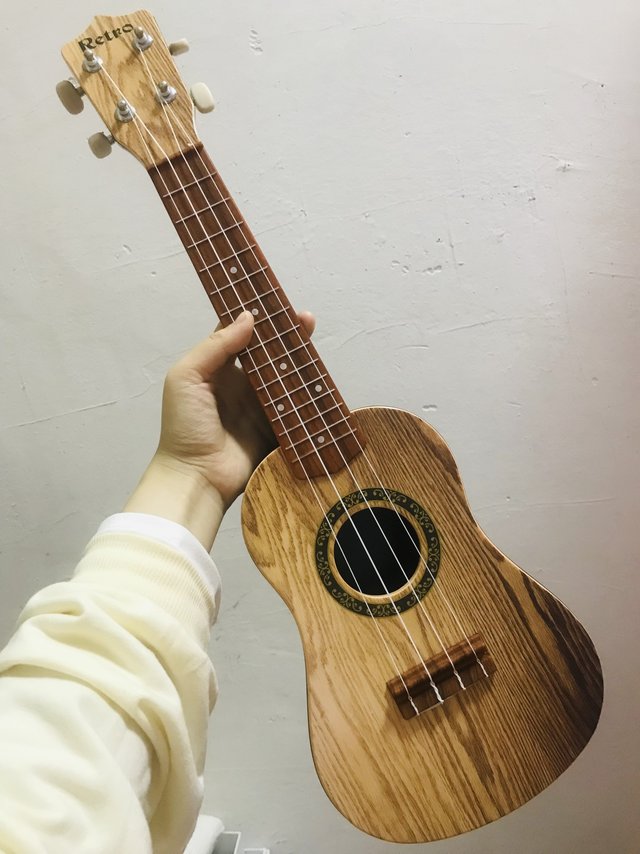 亲测，尤克里里绝对是最好学的乐器～