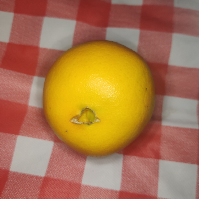橙子