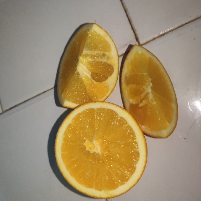 橙子
