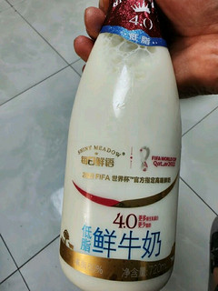 今天牛奶喝什么