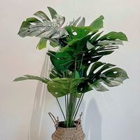 北欧风：仿真绿植龟背绿植