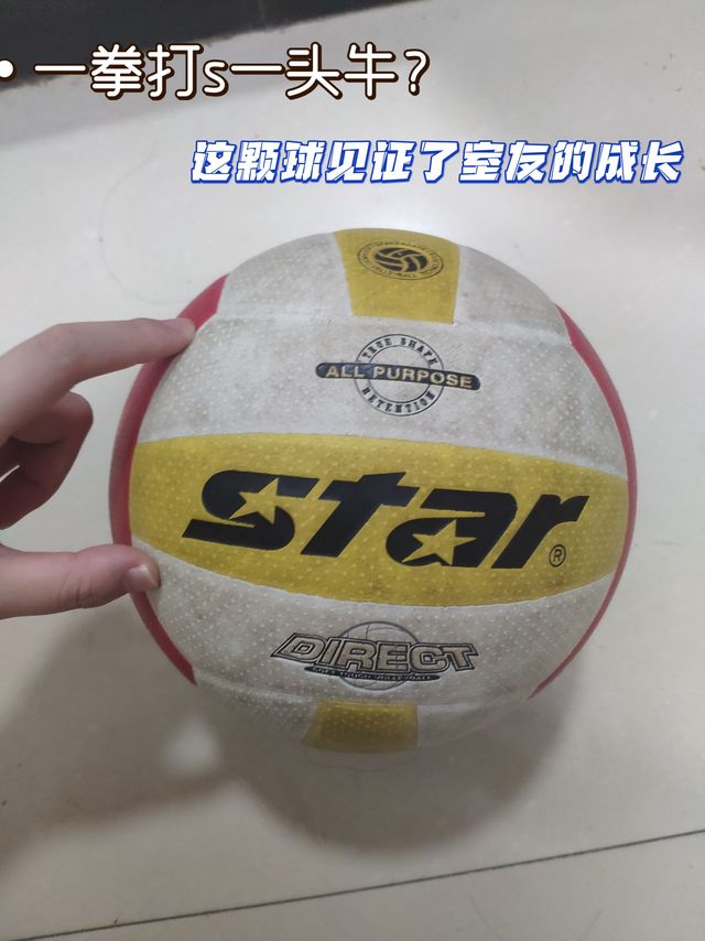 看到我室友打硬排的样子后，我悟了