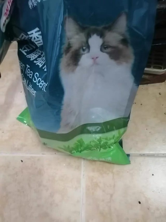 怡亲的猫砂是我最爱用的猫砂了，盖臭味的强