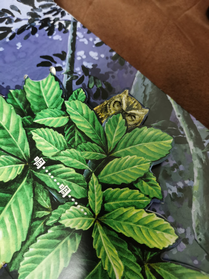 云南美术出版社少儿读物