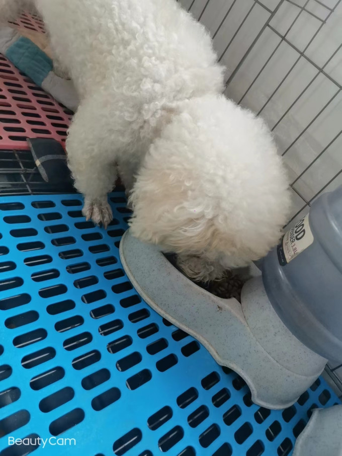 纽尚宠物主粮