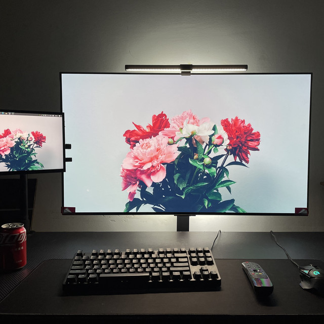 LG 42C2 OLED电视 购入分享与选购指南