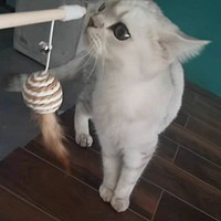 猫咪玩具逗猫棒木质铃铛