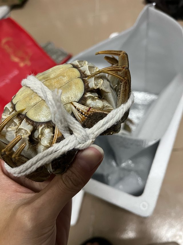 “性价比螃蟹”