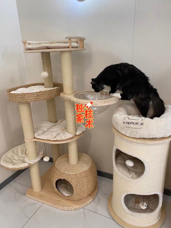 蜜罐猫猫玩具