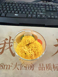 ​徽州皇菊 精选头采大皇菊