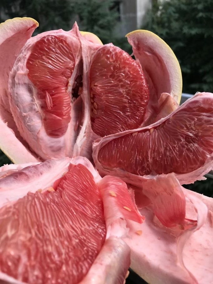 京觅柚子