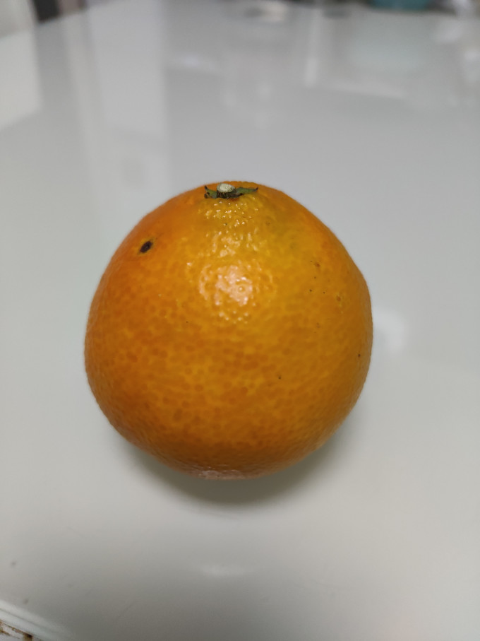 橘/桔