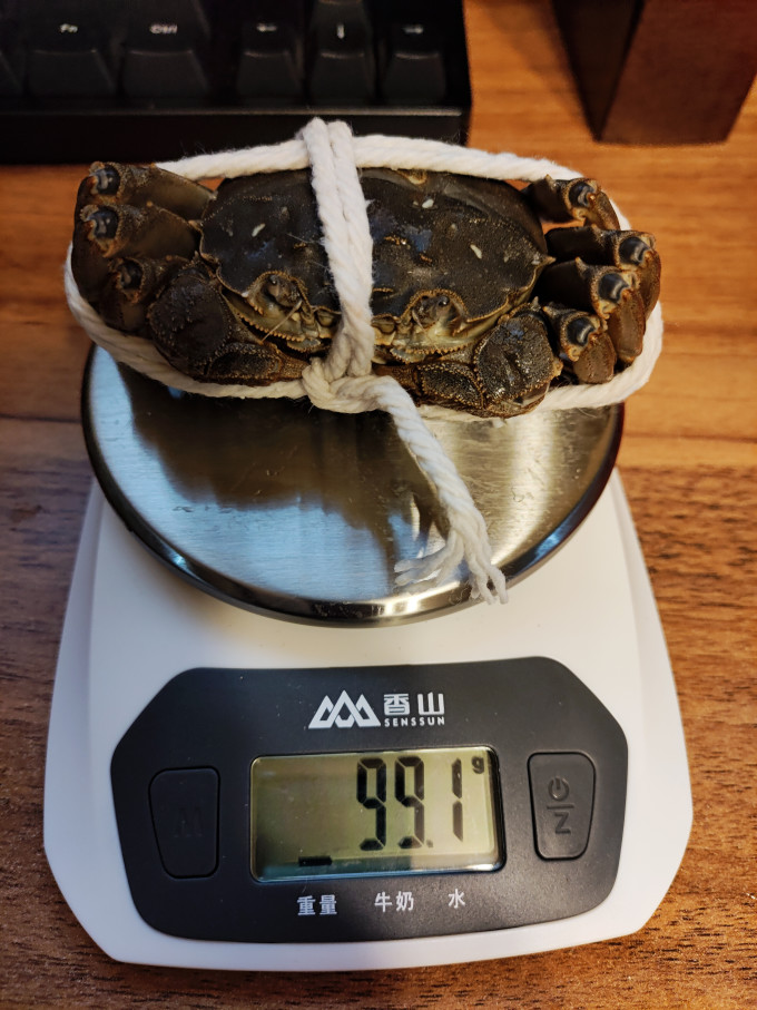 鱻谣蟹类