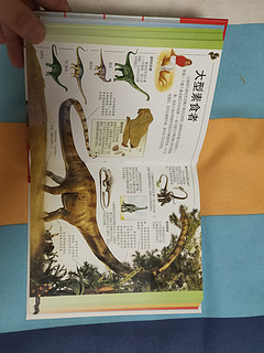 DK儿童百科全书。