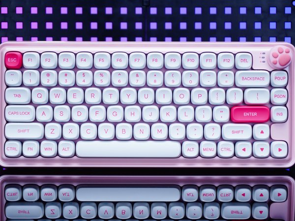 闭眼入的游戏、工作设备——要首推达尔优