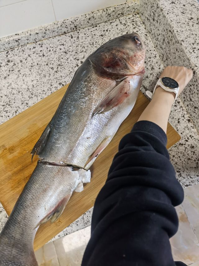 这条比我胳膊还长的大鱼，我要怎么吃