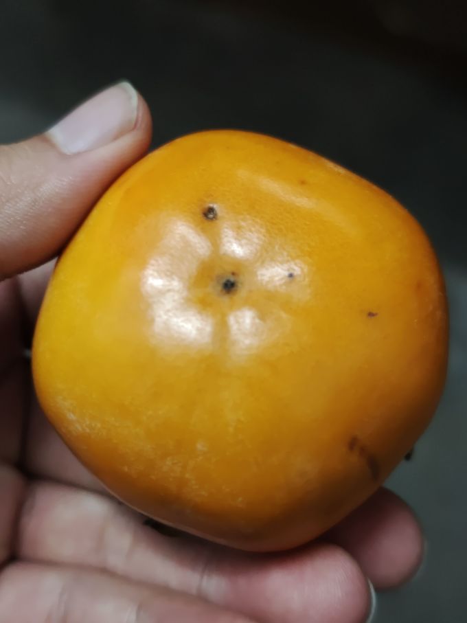 愉果新鲜水果