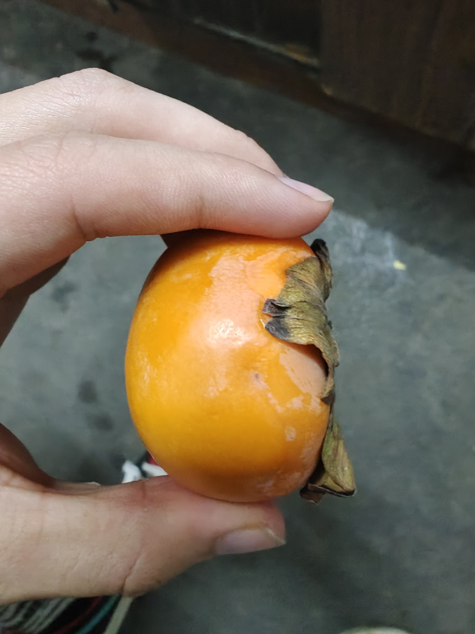 愉果新鲜水果