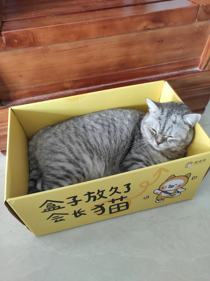 宠物家居日用