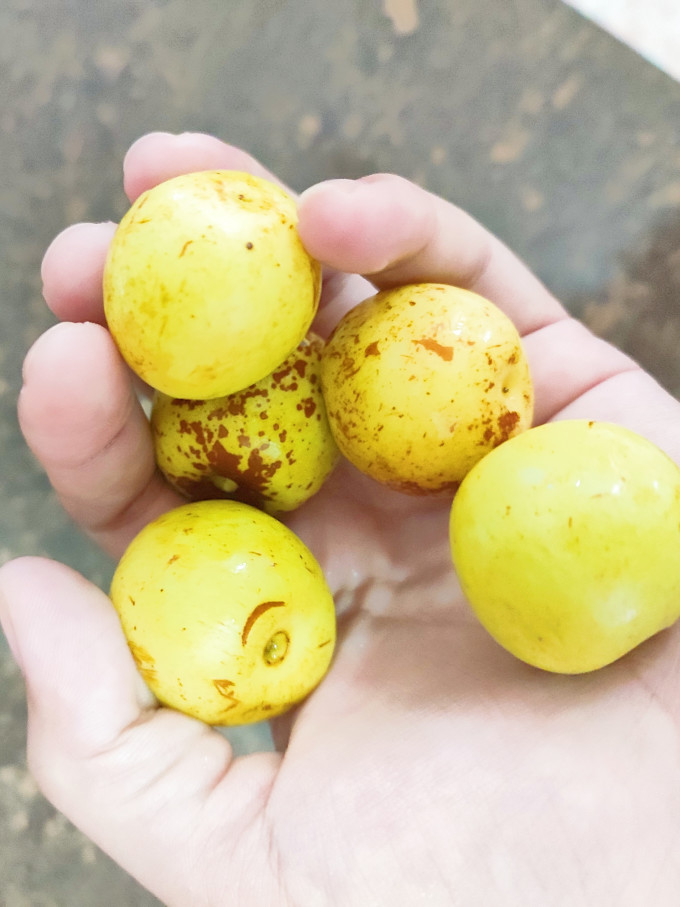易果生鲜新鲜水果