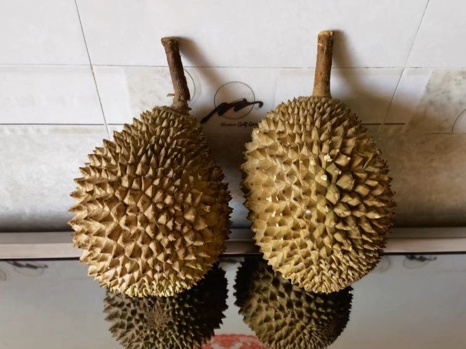村小二榴莲