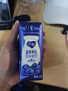 超级好喝的蓝莓味纯甄酸奶