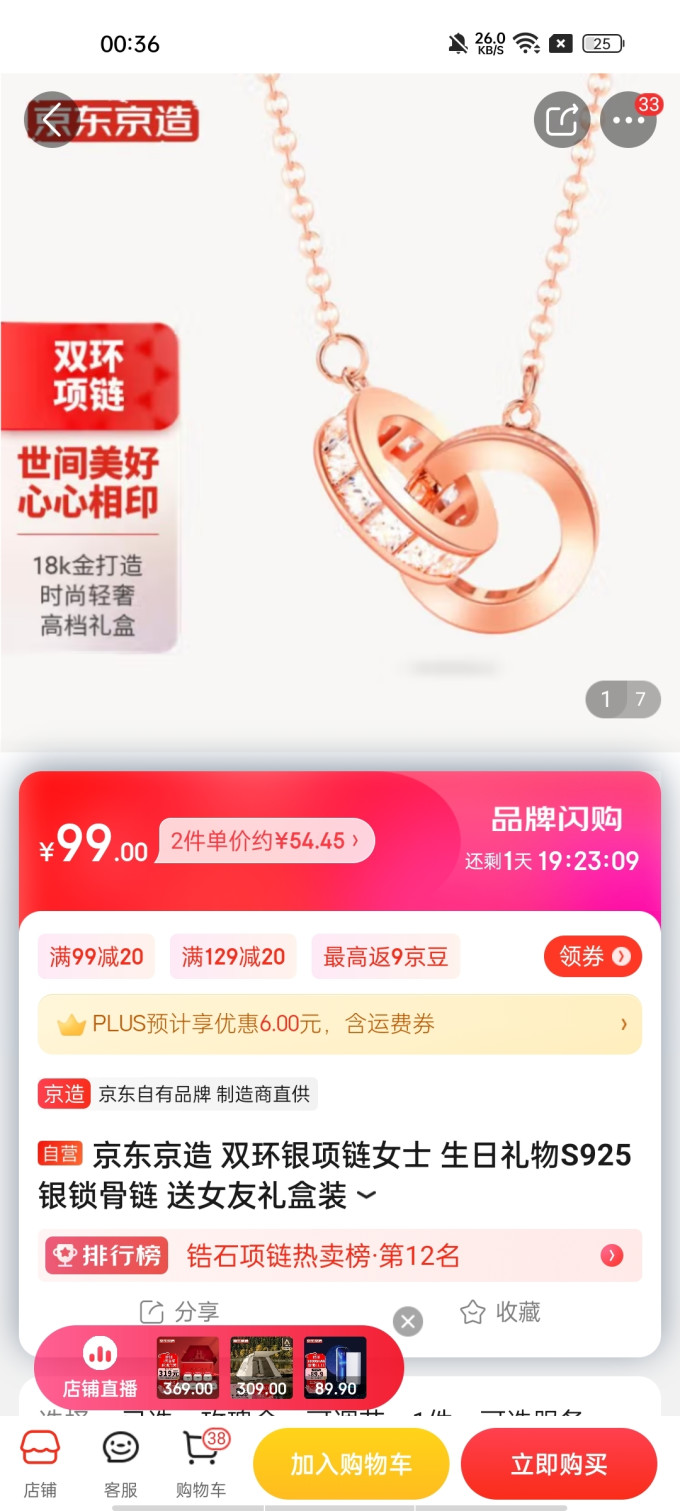 银项链