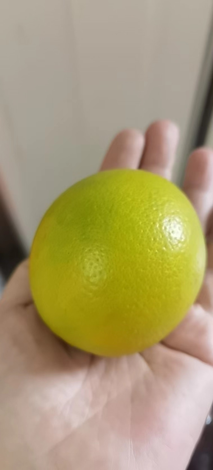 爆橙橙子