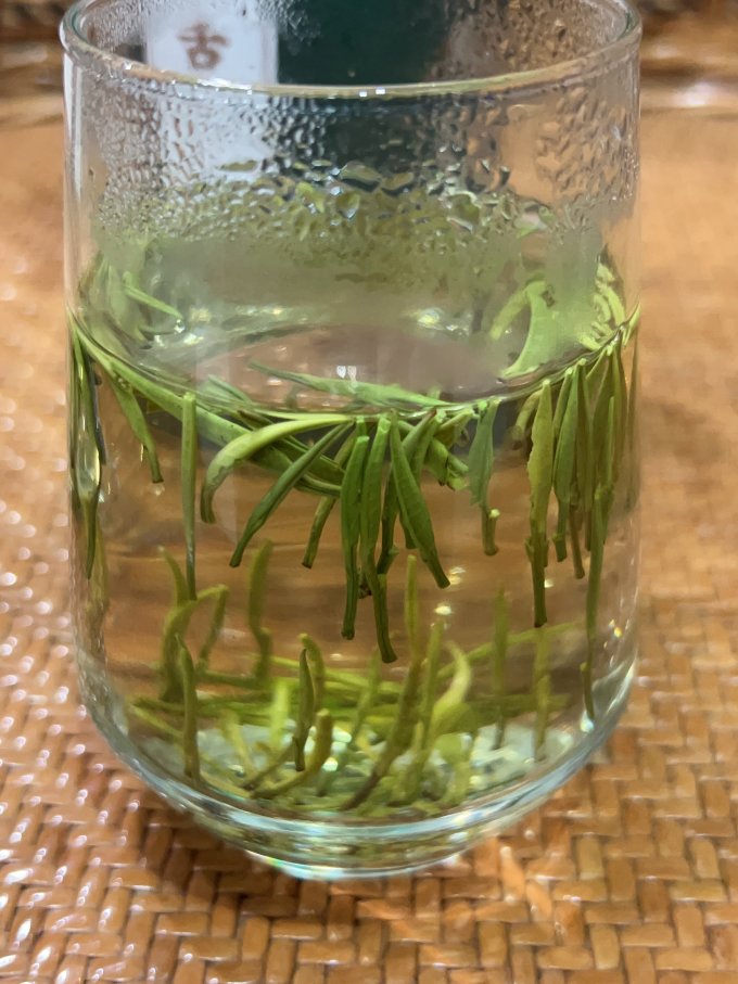 绿满堂绿茶