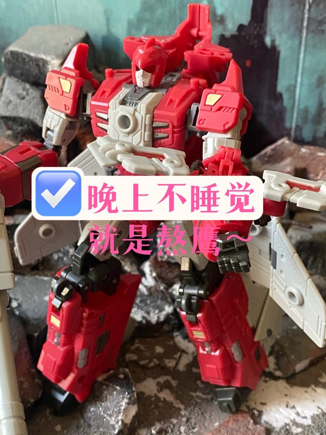 晚上不睡觉 就是熬鹰～