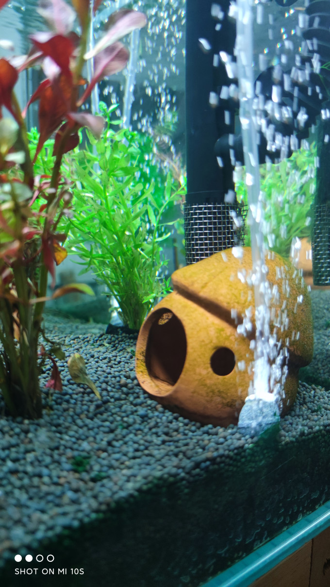 森森水族设备